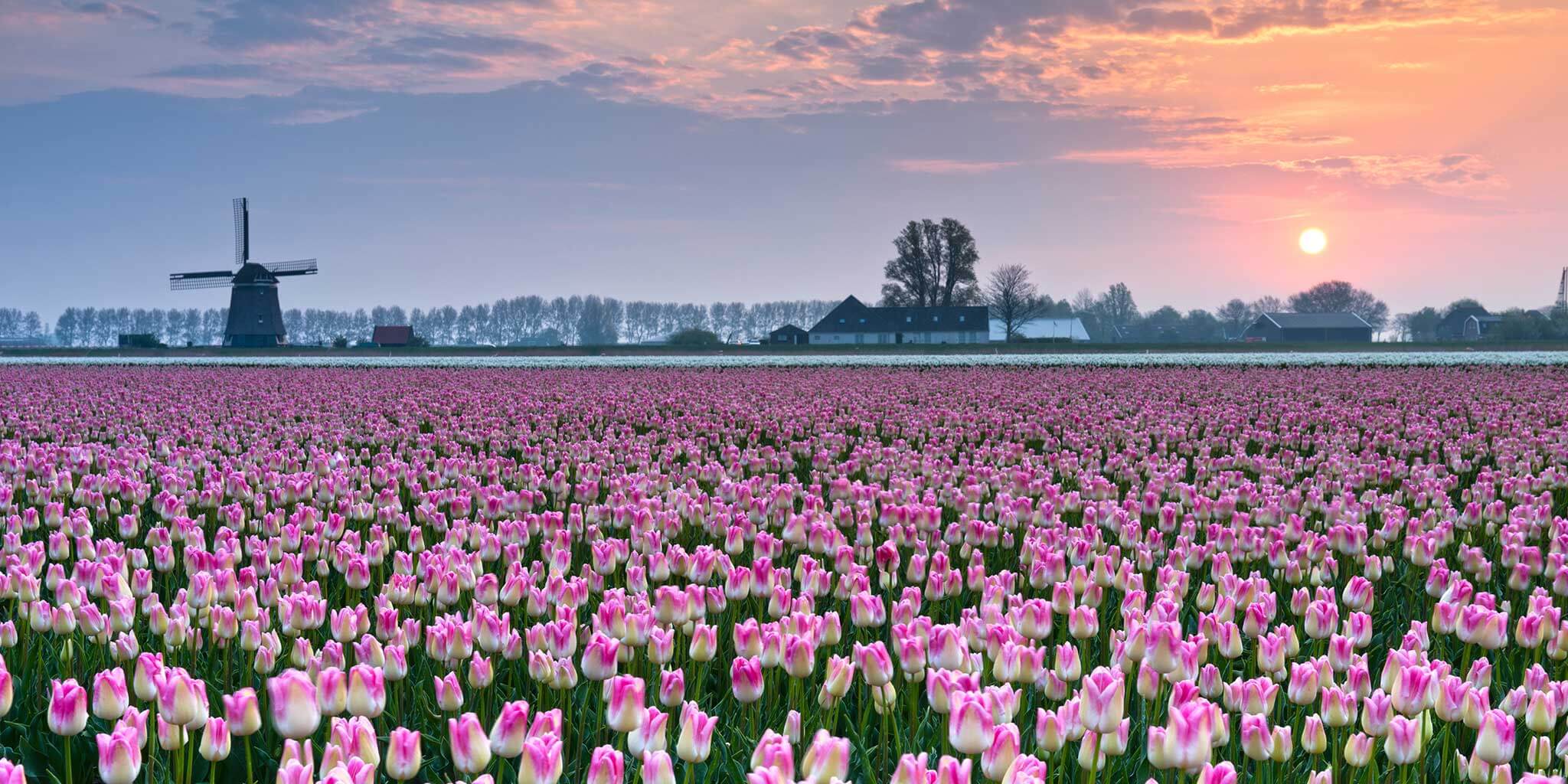 Sprachreisen Niederlande Niederländisch Sprachkurse in den